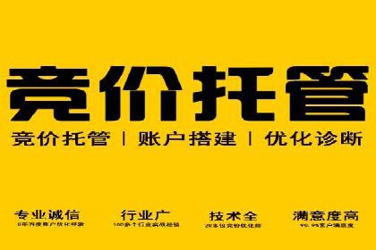 百度推广技巧分享：成功案例解析